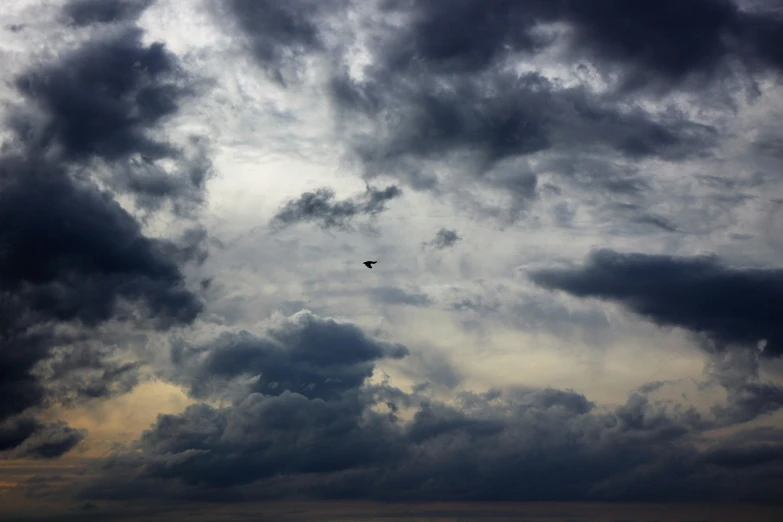 there is a bird flying through the cloudy sky