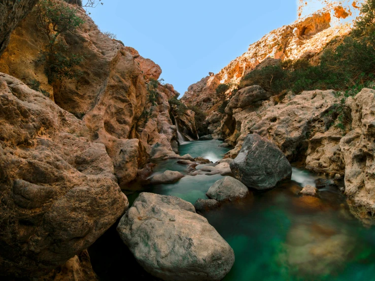 a green stream flows between rocks in the woods