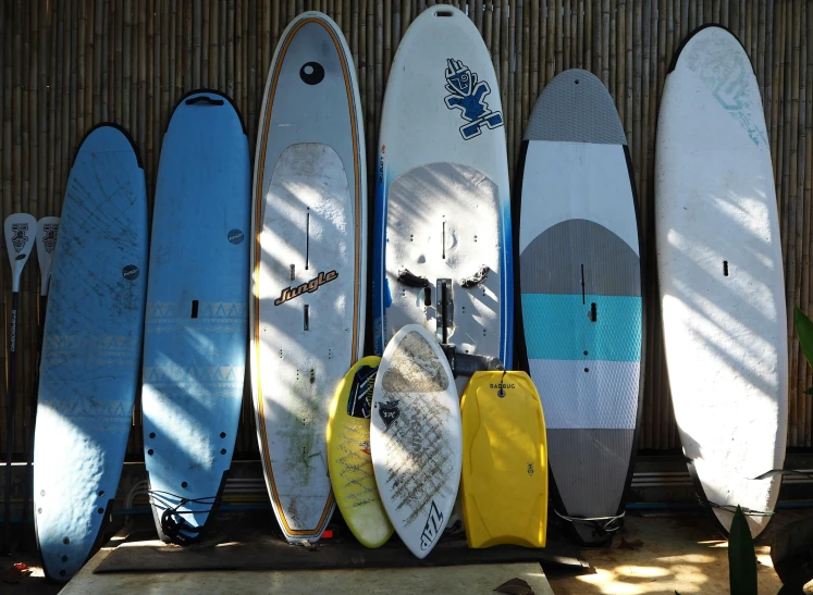 an image of different types of surfboards lined up