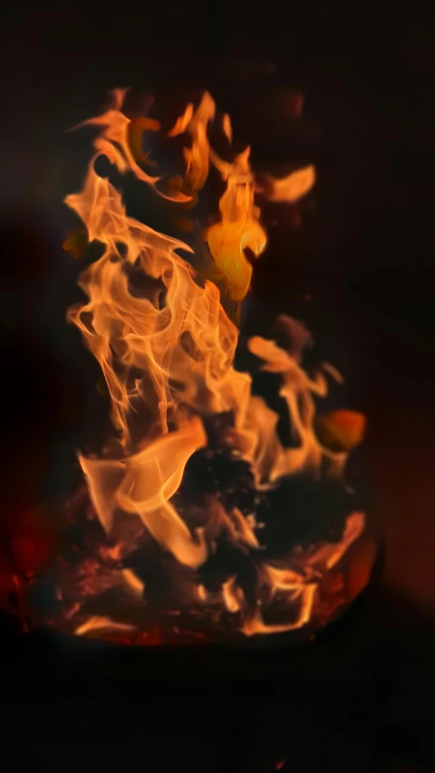 flames from a fire pit on a dark background