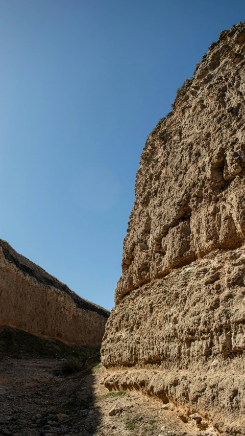 an animal standing next to a big rock wall