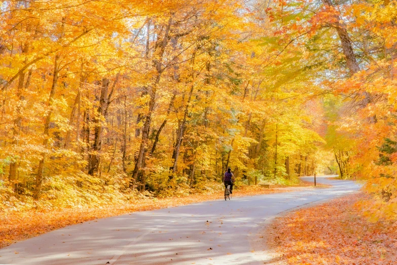 a bike rider is walking on a paved road