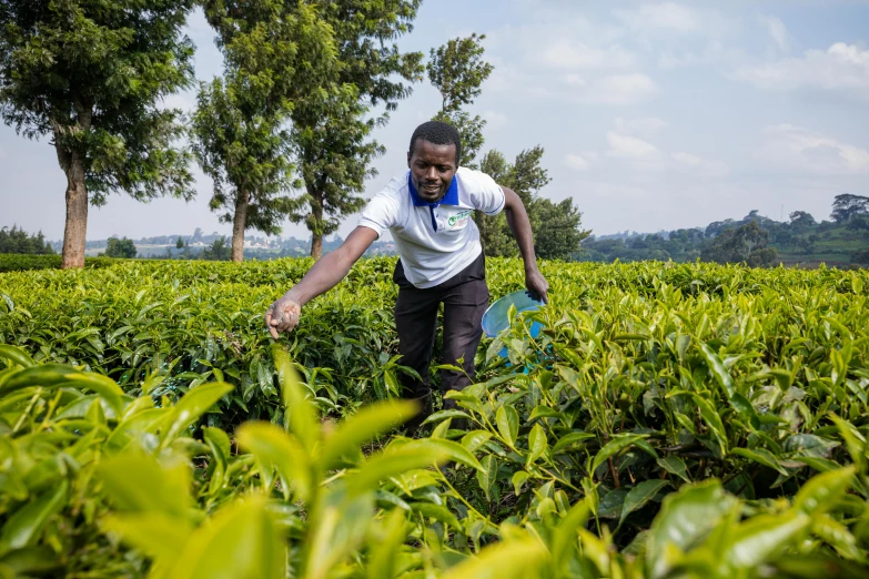 a person picking a frisbee in the field