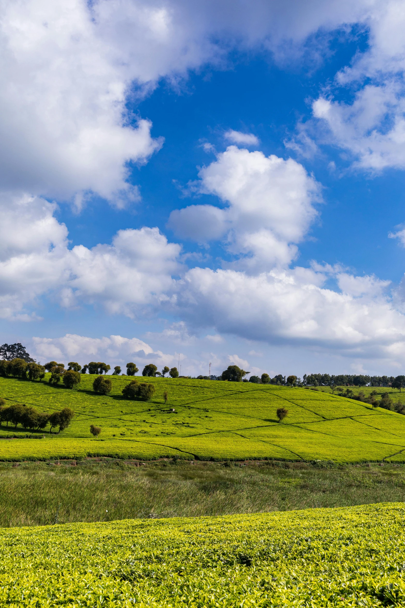 a green field of grass surrounded by clouds