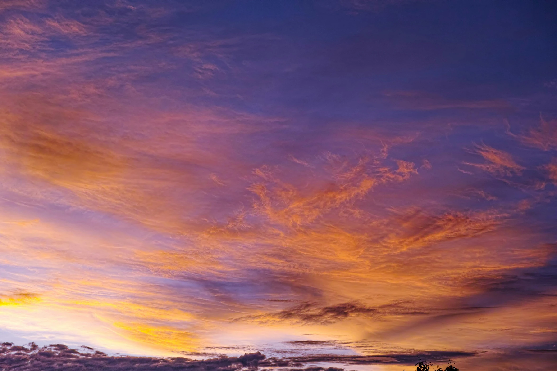 the sun setting over trees with an orange sky in the background