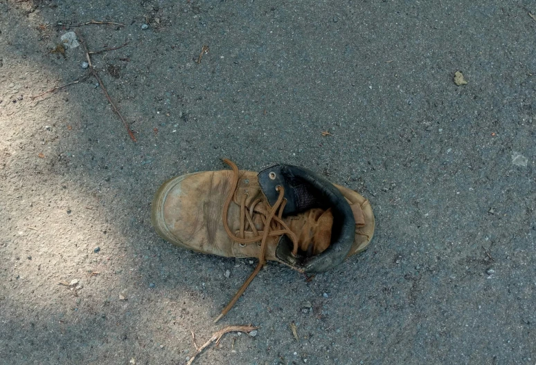 an uninspixed brown shoe laying on asphalt
