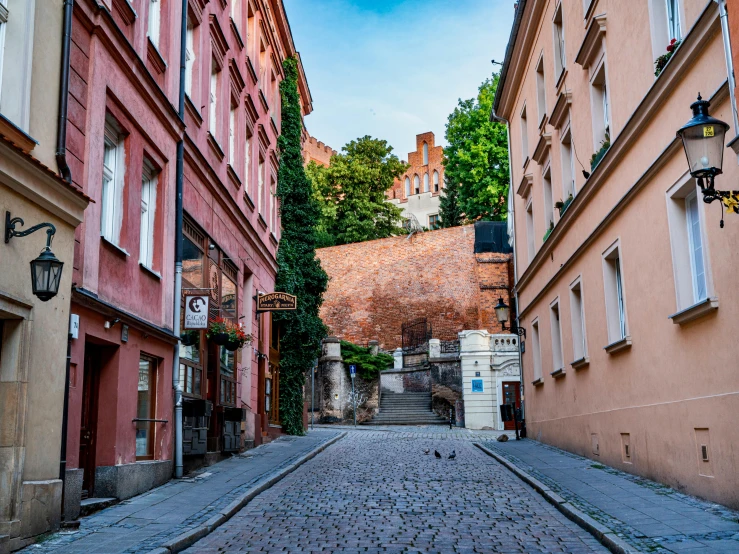 alleyway between old pink buildings and the stone streets