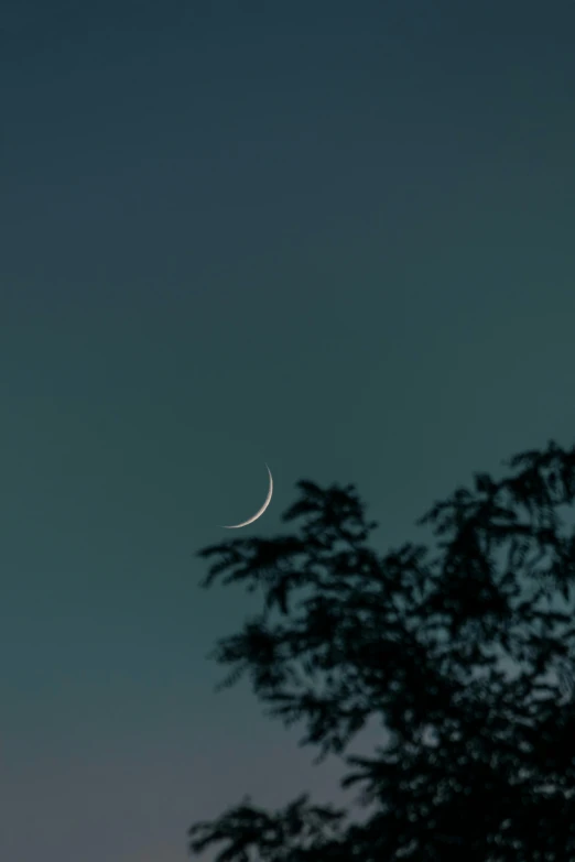 a crescent shaped moon in a dark sky, above trees