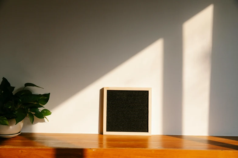 a shelf with a framed book sitting next to a plant