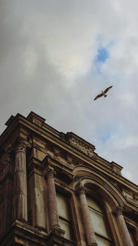 the birds fly close to each other in the sky