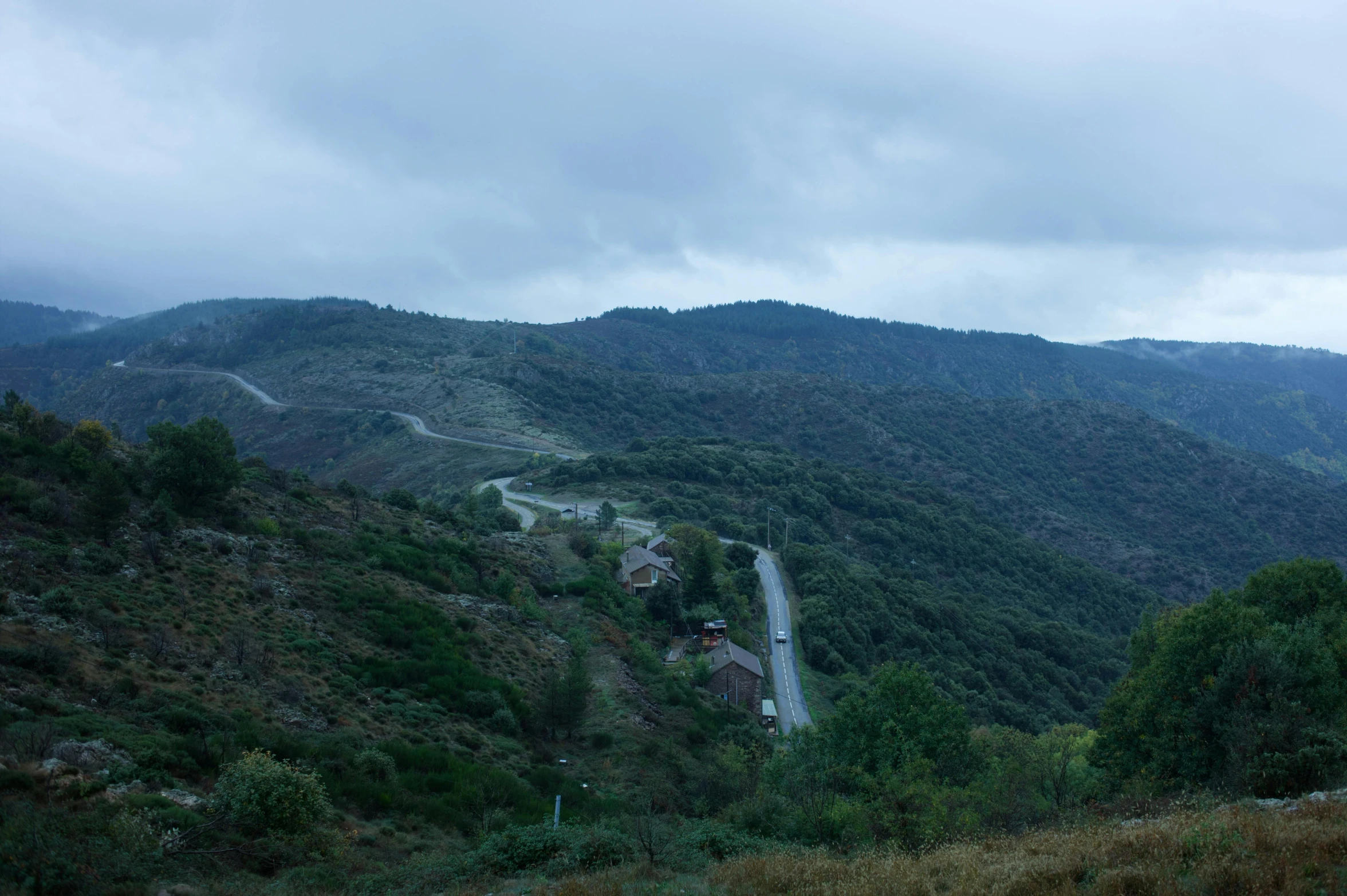 a winding road surrounded by trees on a hill