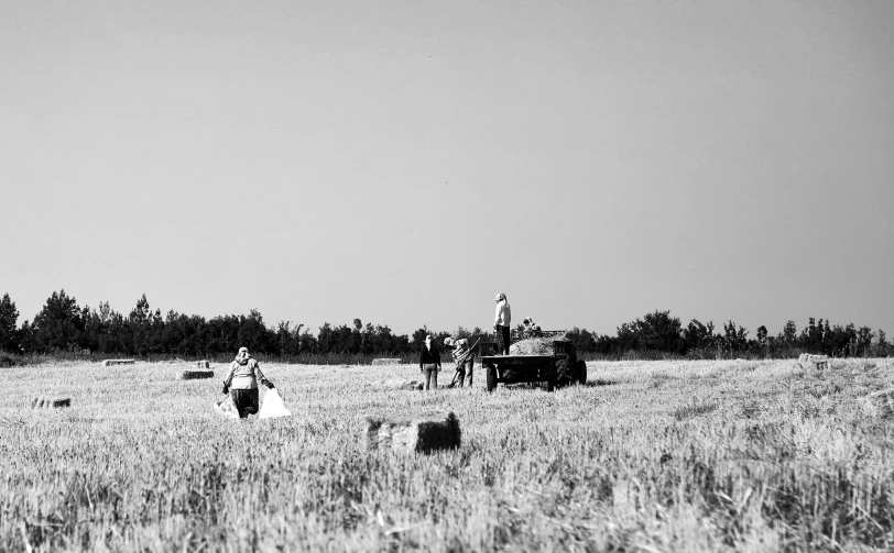 people are standing in the grass and a black and white po