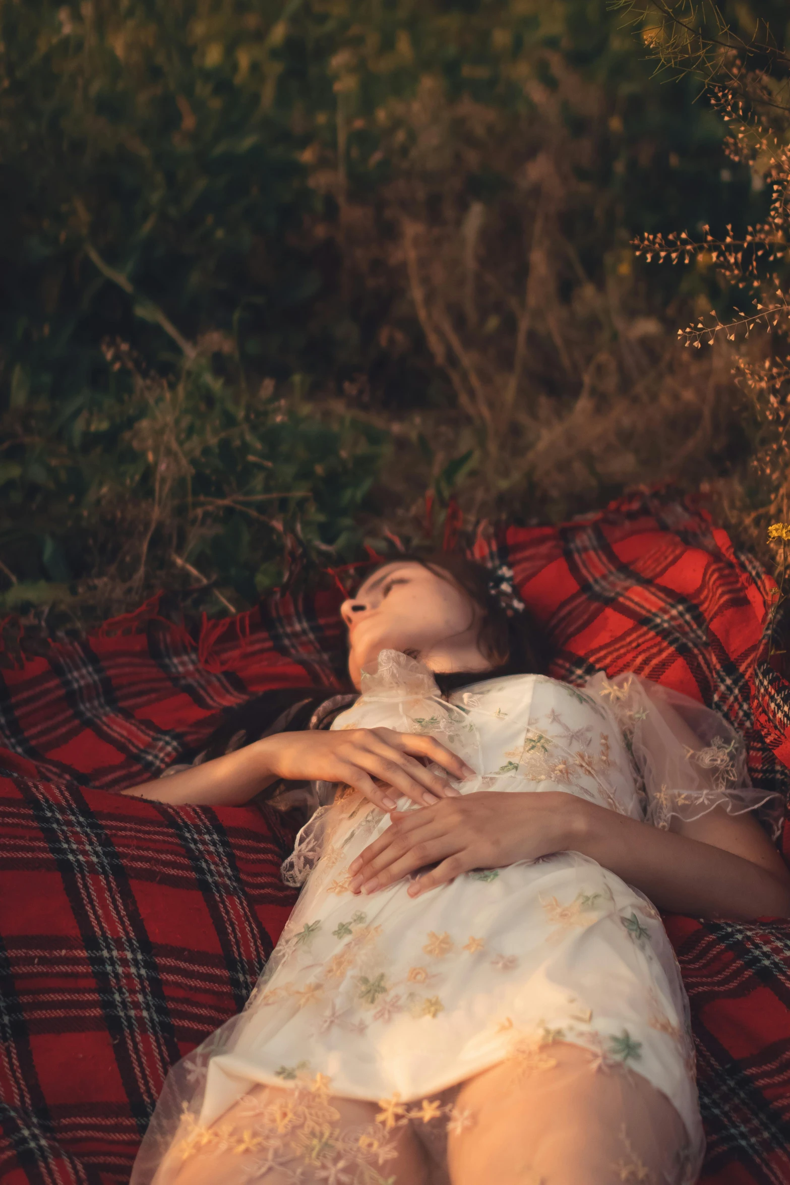 the woman wearing an oriental style costume lays on a red plaid blanket in the woods