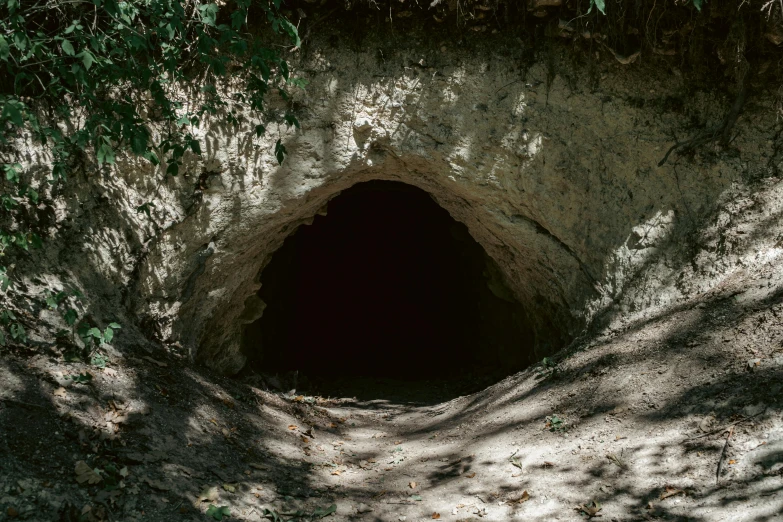 a tunnel that is in the dirt under trees