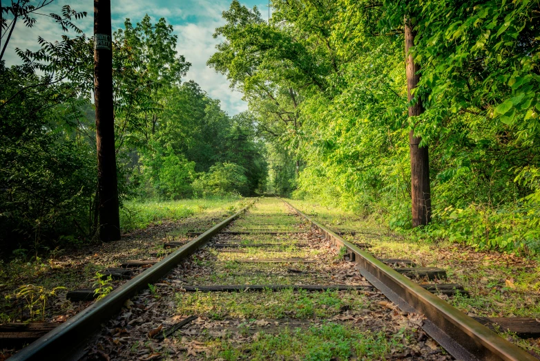a railroad track passing by the woods