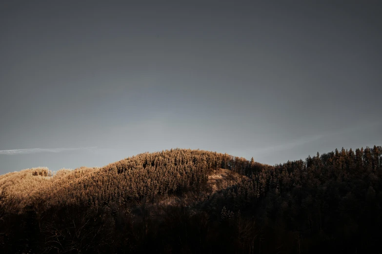 a tree on the hill during daytime with a sky in the background