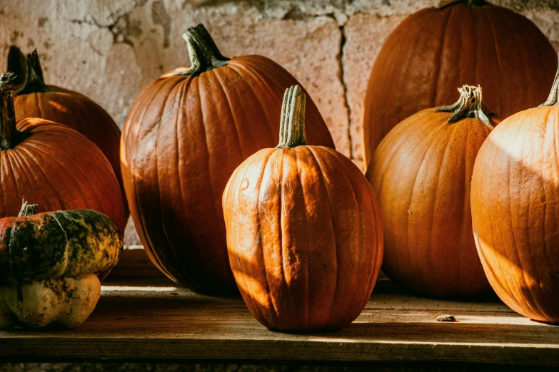 a couple of pumpkins sitting on top of a wooden shelf