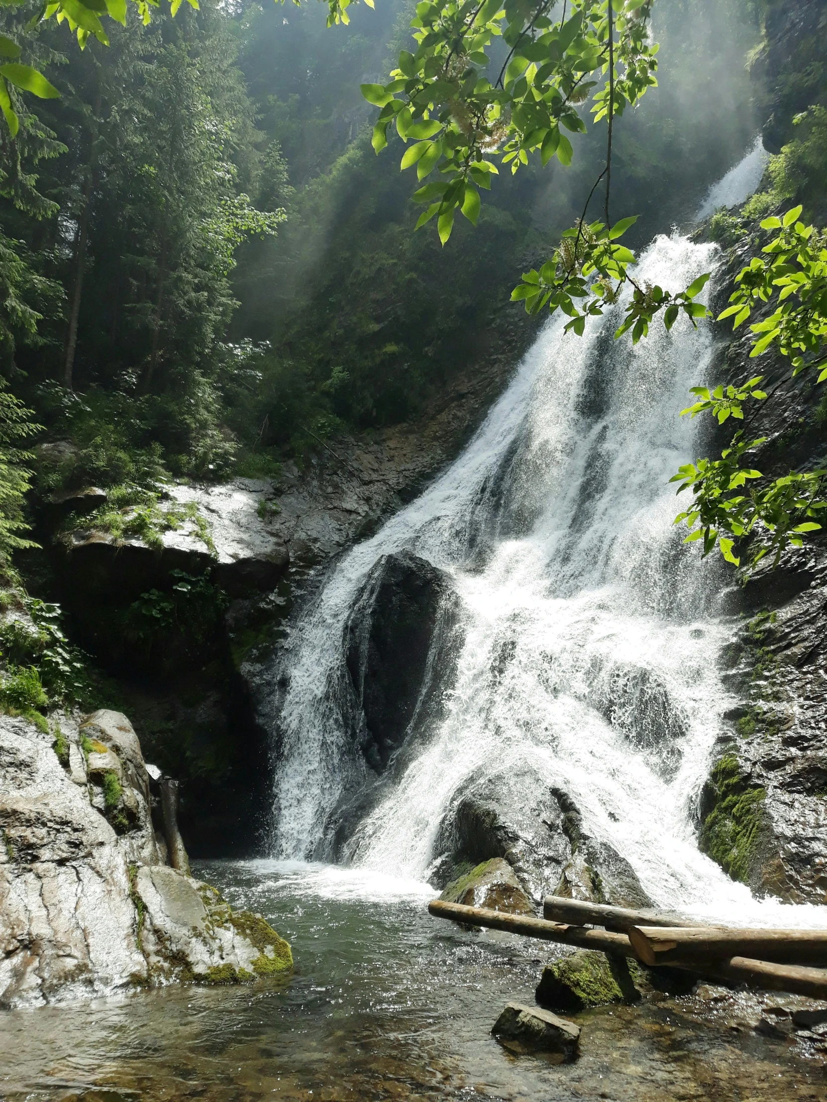 a waterfall surrounded by trees on a sunny day