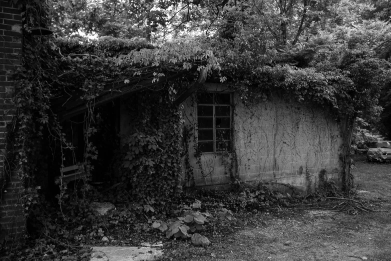 this is an image of old building covered in vines