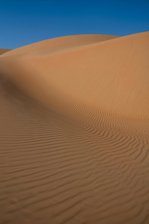 a person stands in the middle of a desert