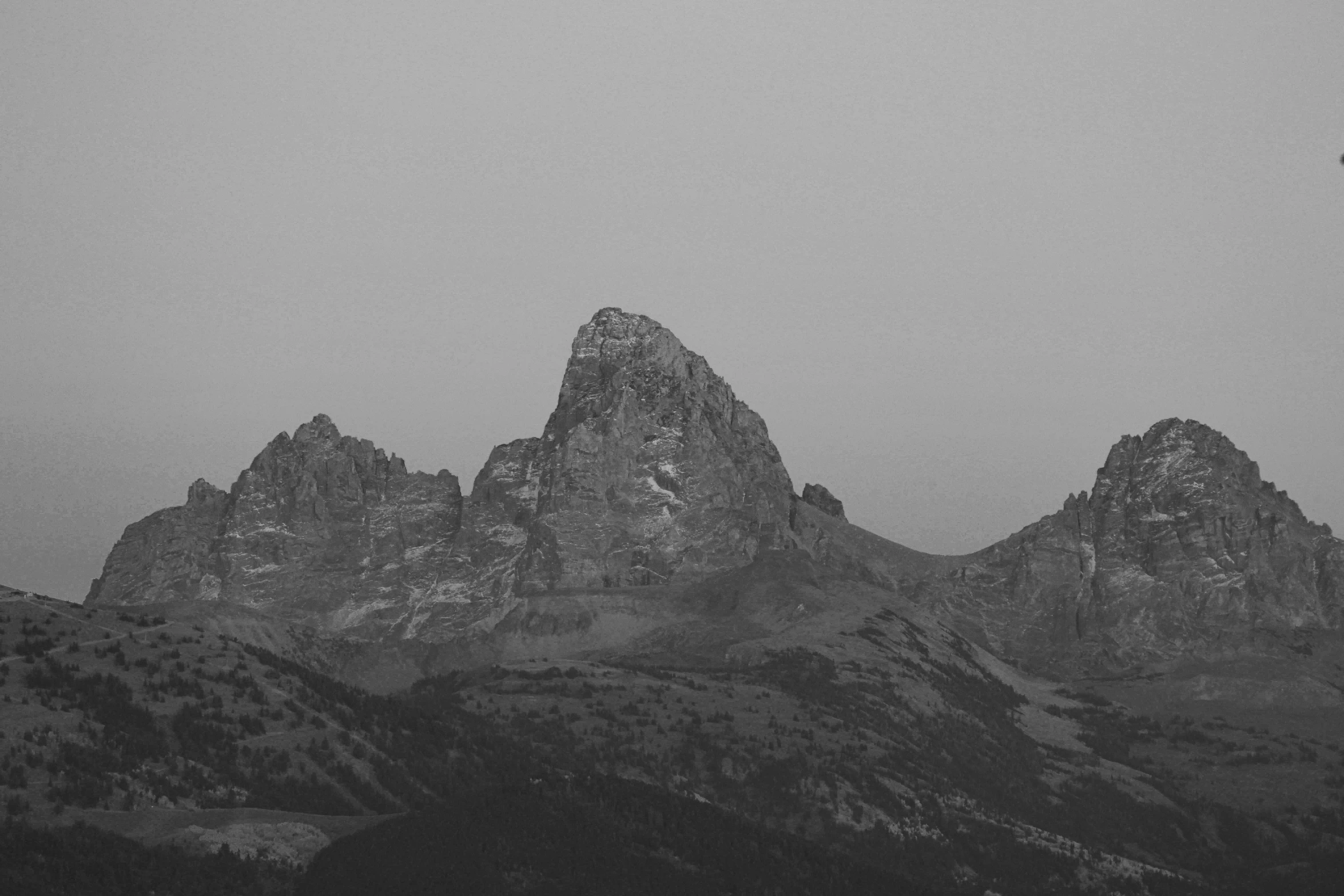 a large snowy mountain with a tree line on the side