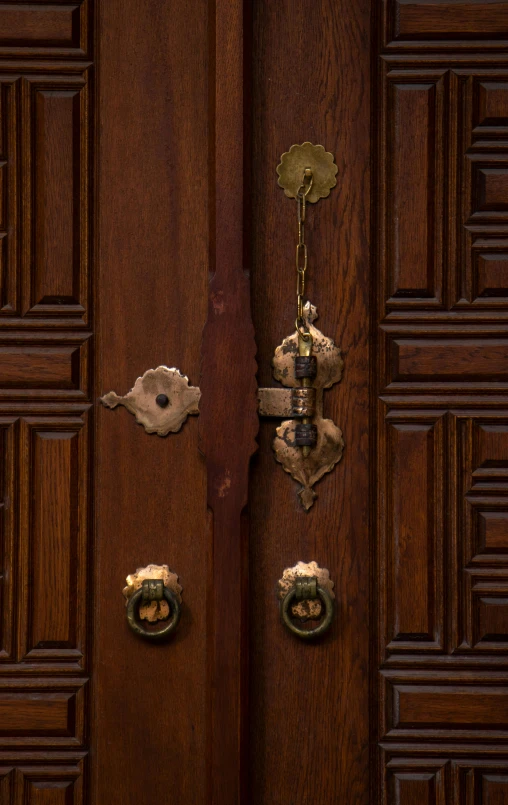 a door with a metal handle on the wooden door