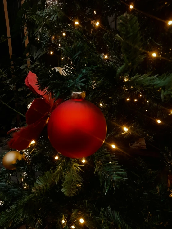 a red bauble hanging on a christmas tree