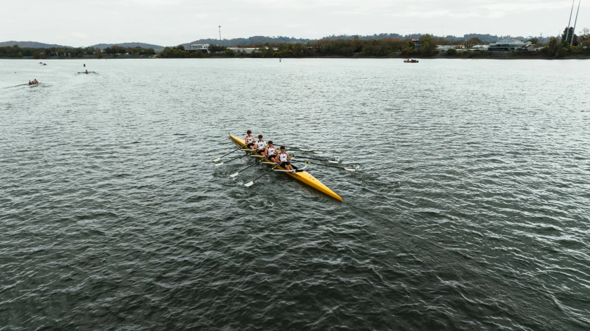 four people row across a body of water