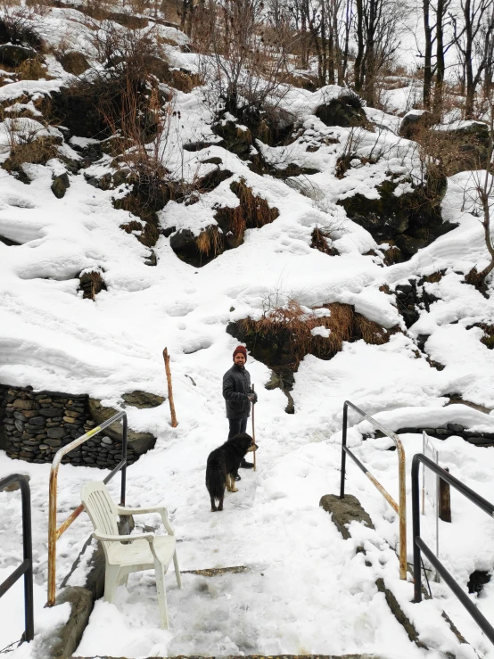 a dog and a person walking down some steps