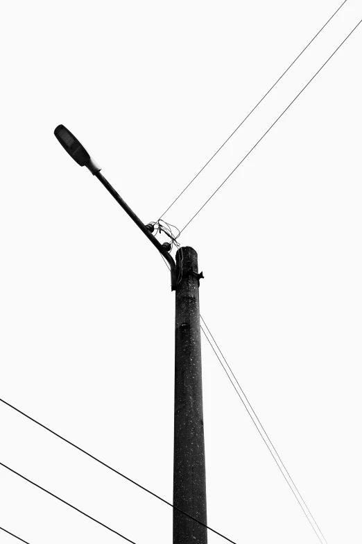 black and white pograph of a streetlight and power lines