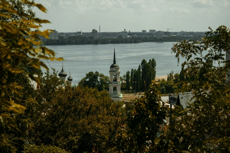 a city that has some trees in front of it