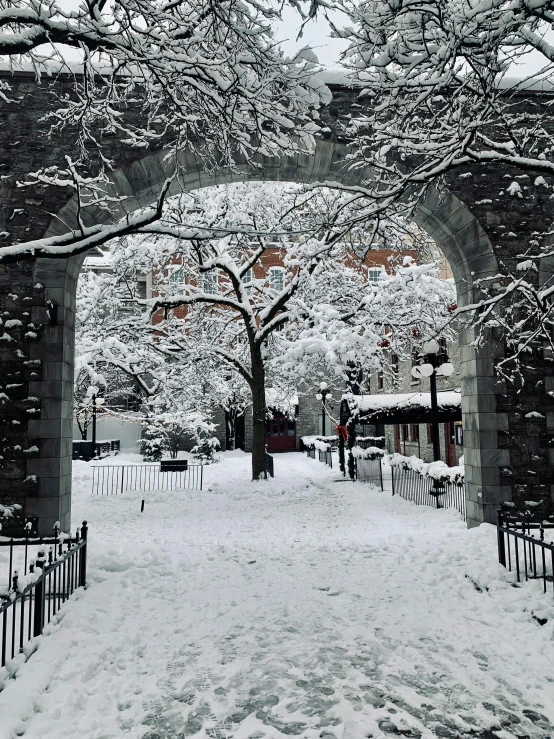 there are snowy trees and benches in the park