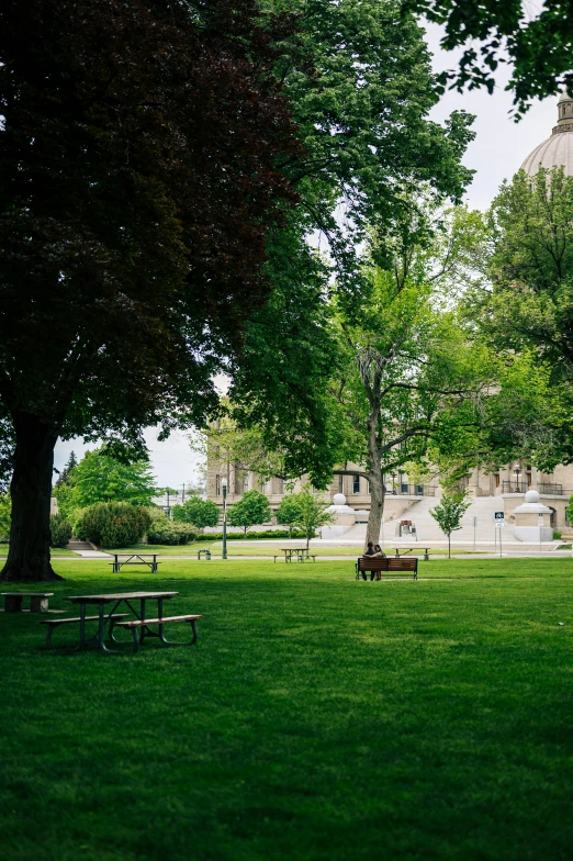 a large white building sitting next to a forest