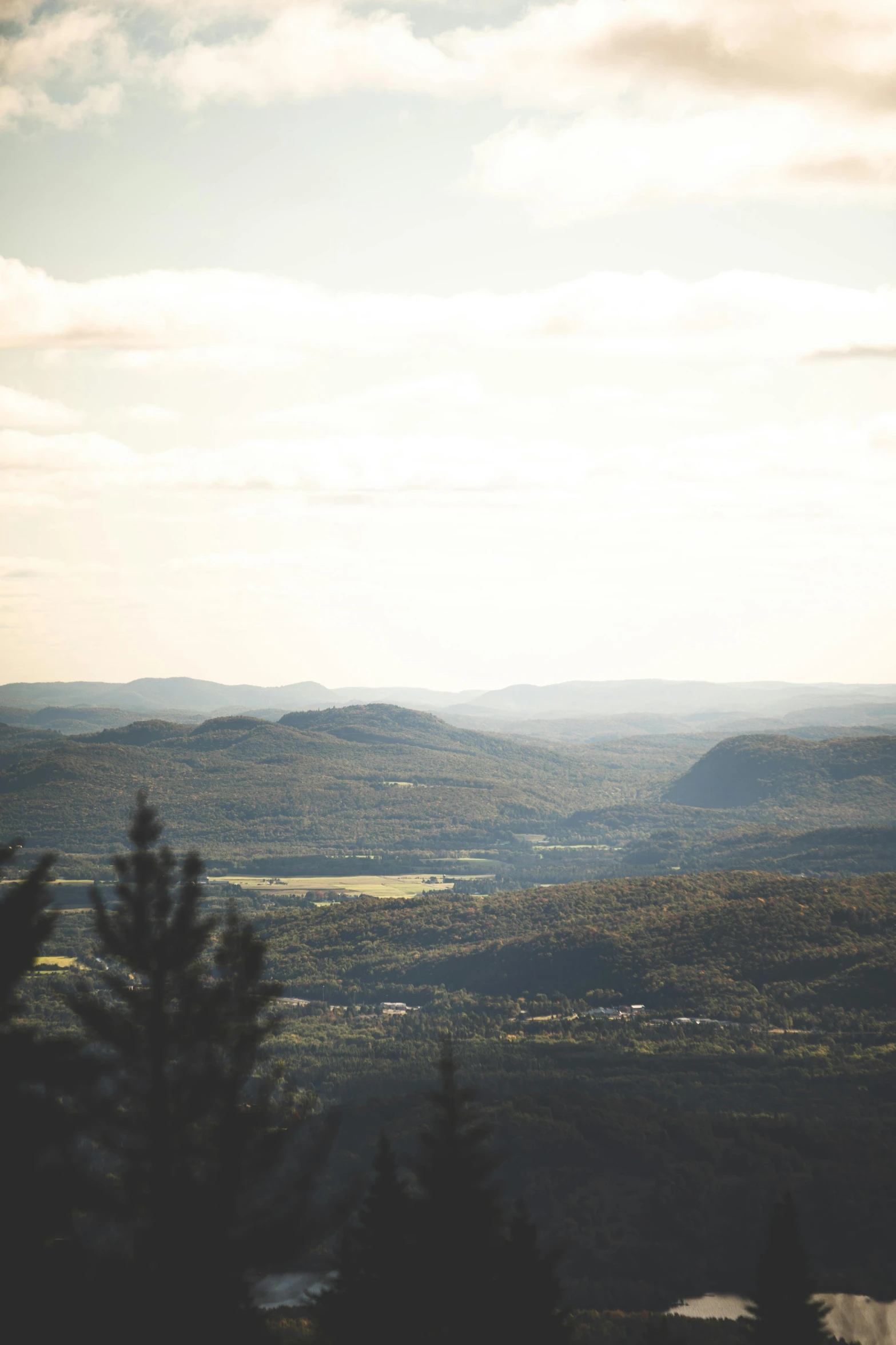 some very big beautiful mountains with some very pretty trees