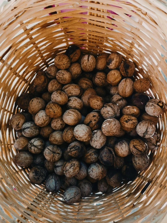 several walnuts sitting inside of a basket in the corner of a building
