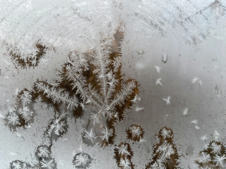 ice is seen on the surface of a window