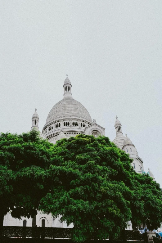 a very tall white building next to a tree