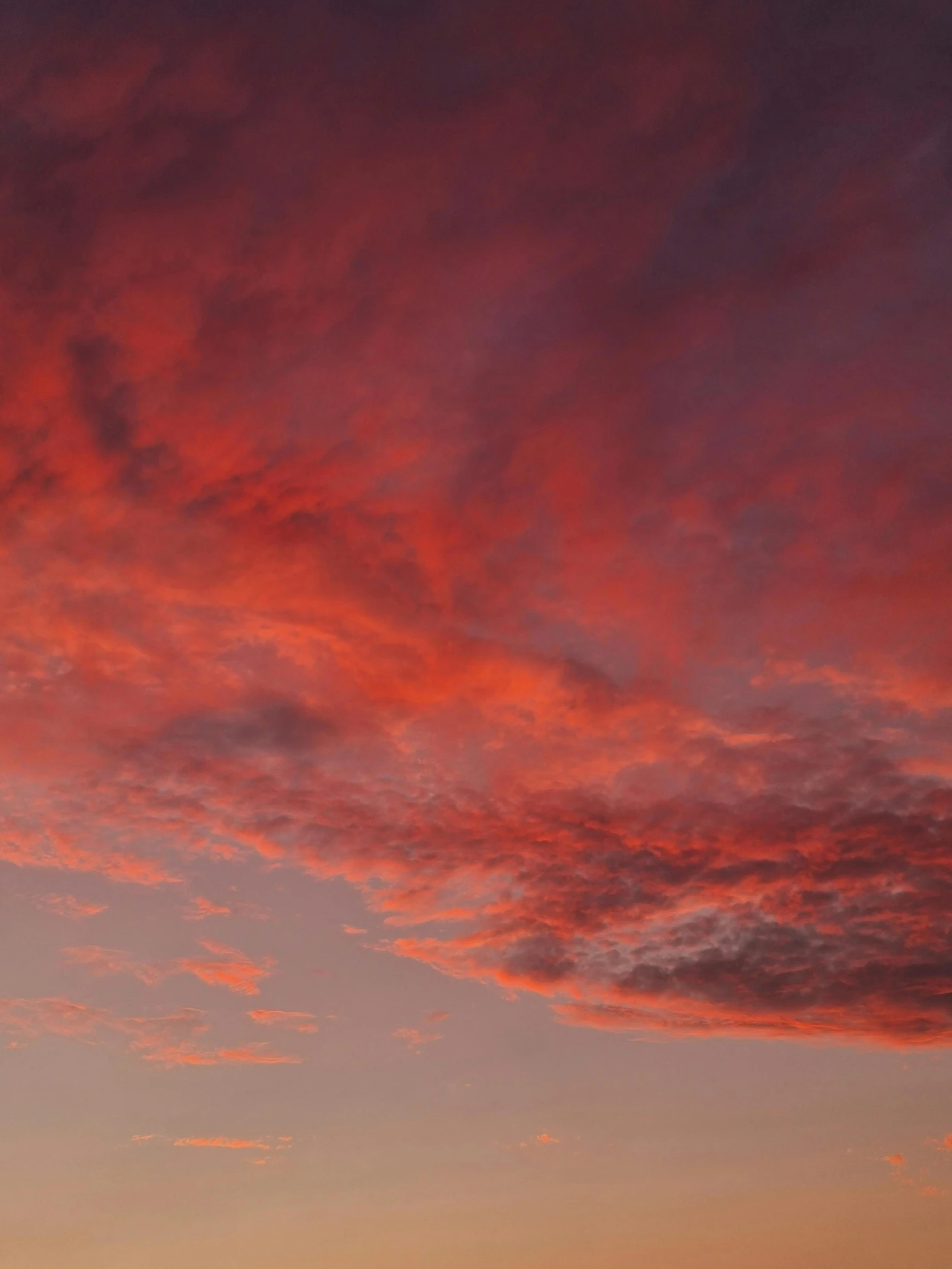 this red sky is coming up next to the trees