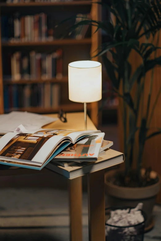 a white lamp on top of a desk next to a book case