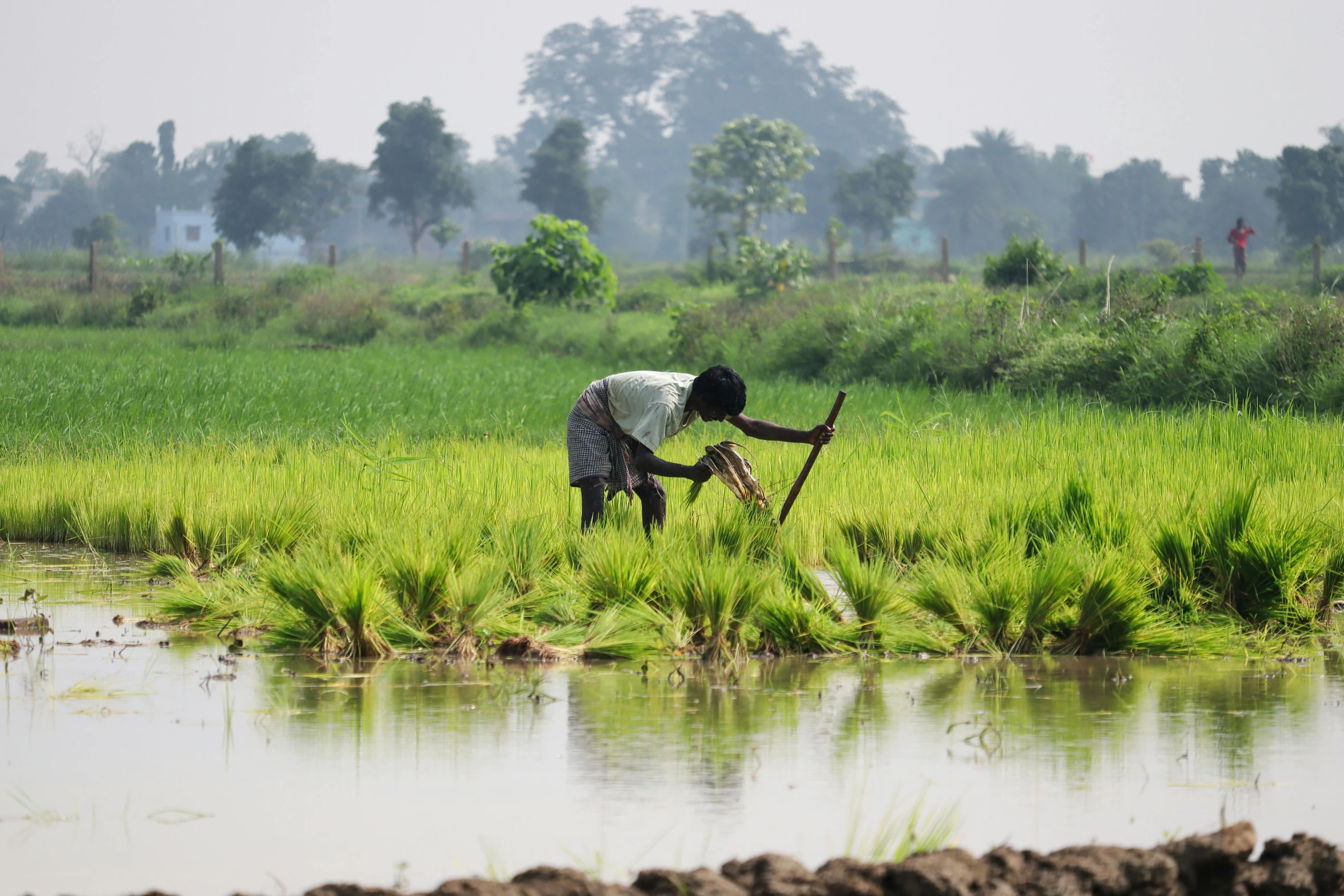 a man is standing near water and tending to some weeds