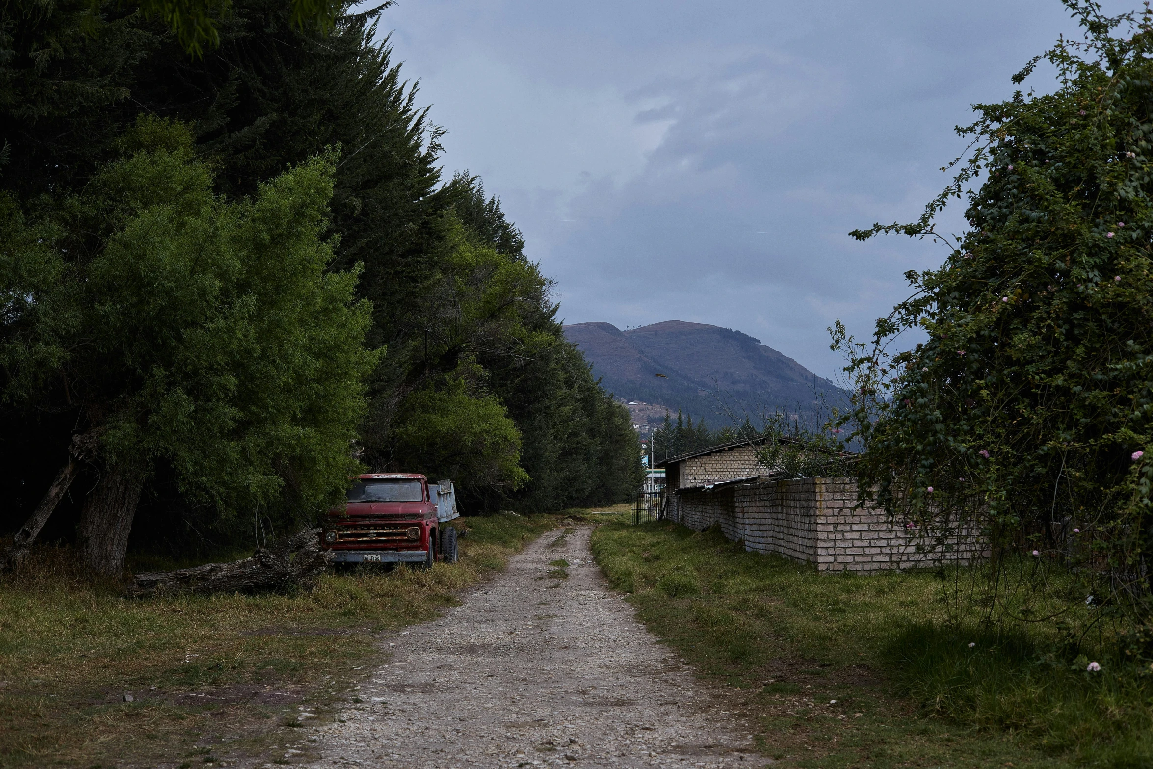 this is an outdoor area with a road