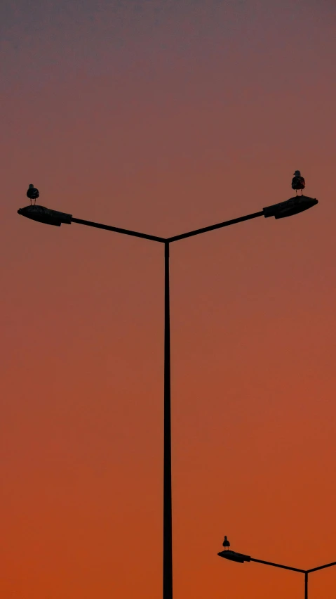 a po of two street lamps at sunset