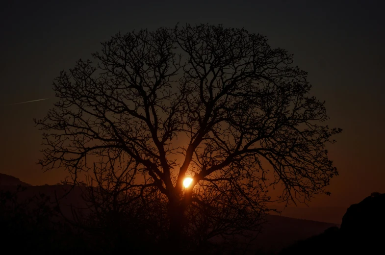 the setting sun and tree silhouettes against a dark sky