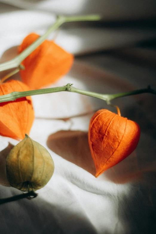 flowers are sitting on the bed with a white sheet