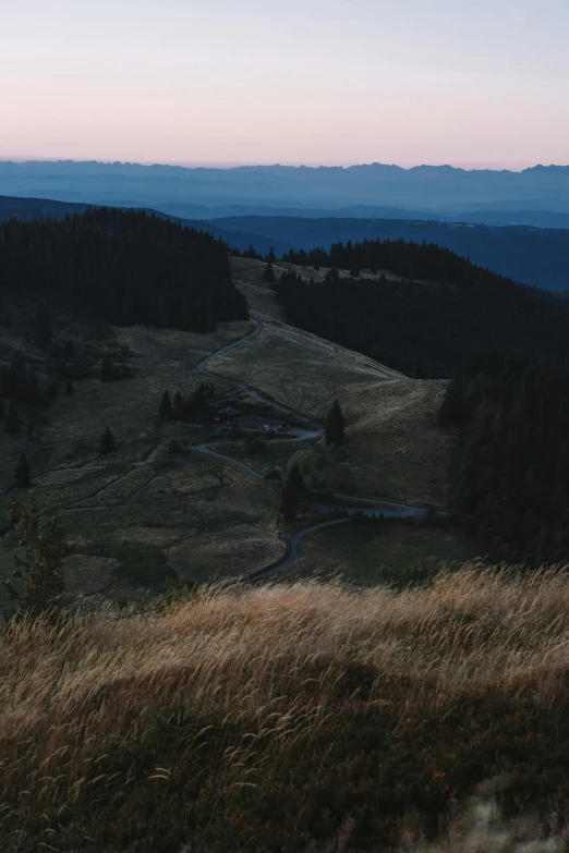 the field is in high grass on the side of the hill