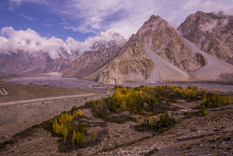 a view of mountains and trees from a high point