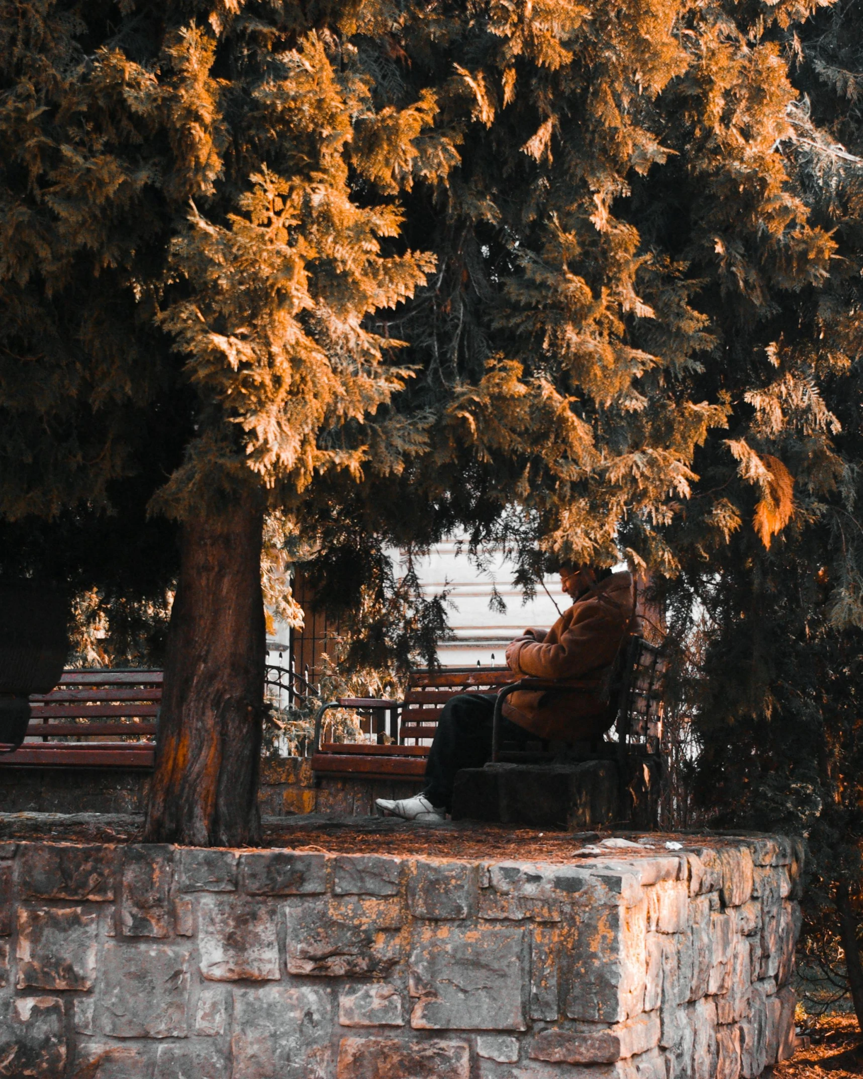 an orange tree sitting above a stone wall