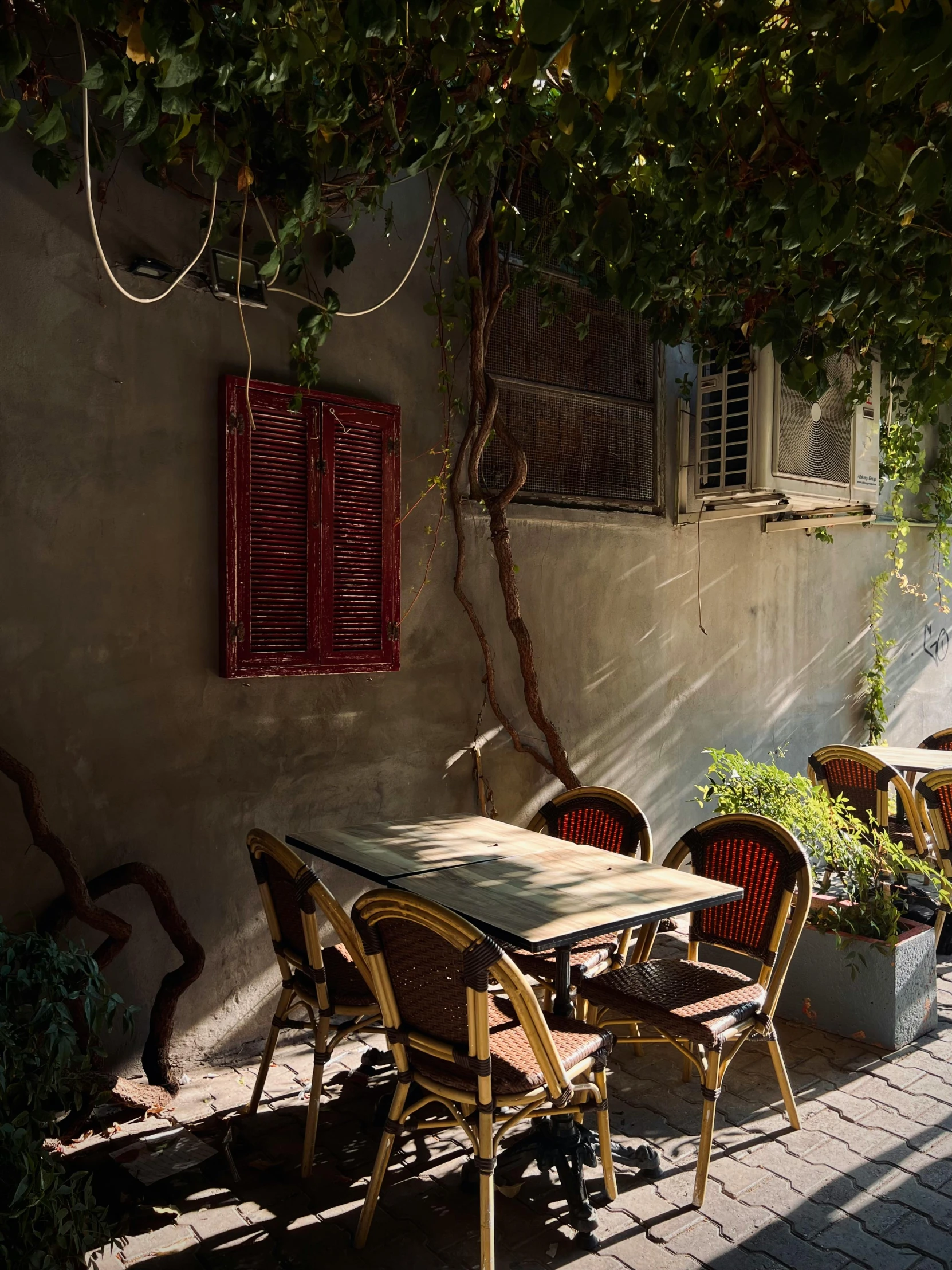 some chairs and table under some trees on a sunny day