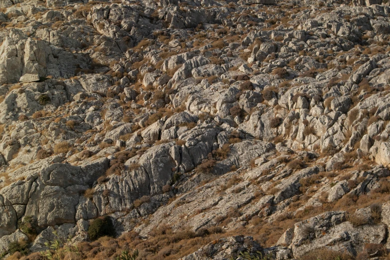 a rocky mountain covered in shrubs and grass