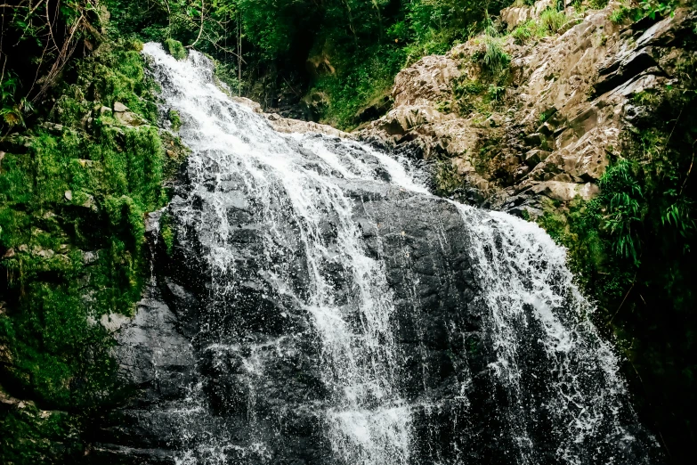 a waterfall is next to a forested mountain